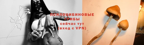 круглые Верея