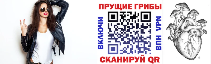 Псилоцибиновые грибы мицелий МЕГА ССЫЛКА Монино